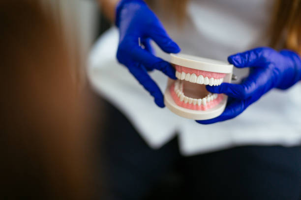Alvin, TX Holistic Dental Care Services Company